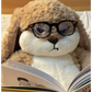 Angry Rabbit plush toy