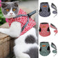 🔥Hot Sale 49% Off🔥Pet Leash Anti-break Away Chest Strap Vest Harness