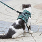 🔥Hot Sale 49% Off🔥Pet Leash Anti-break Away Chest Strap Vest Harness