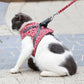 🔥Hot Sale 49% Off🔥Pet Leash Anti-break Away Chest Strap Vest Harness