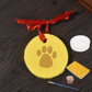 🎁Clay Pet Paw Impression Moulding Kit 🐾
