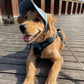 🐶Hot Sale 49% Off🔥Dog Hat