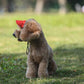 🐶Hot Sale 49% Off🔥Dog Hat