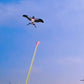 Creative Children's Fishing Rod Kite Toys